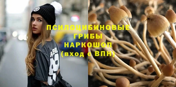 МДМА Дмитровск