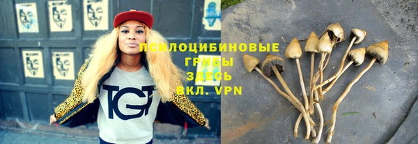 МДМА Дмитровск