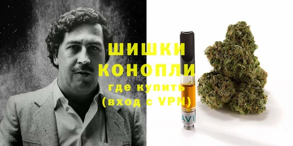 прущая мука Дмитриев