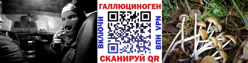 где купить   Изобильный  Галлюциногенные грибы MAGIC MUSHROOMS 